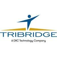 tribridge logo image