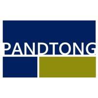 pandtong quantitative research logo image