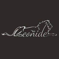 leonide interiors ltd