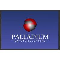 palladium safety solutions, inc.