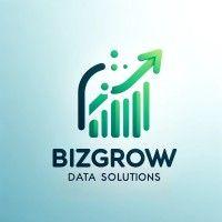 bizgrow data solutions logo image