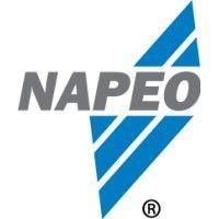 napeo - the national association of professional employer organizations logo image