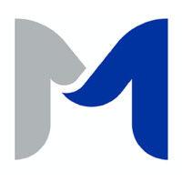 meliora llc logo image