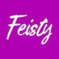 feisty media logo image