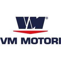 vm motori logo image