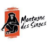 la montagne des singes logo image