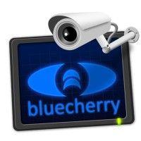 bluecherry logo image