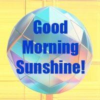 good morning sunshine, llc logo image