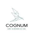 logo of Cognum Financial Consulting