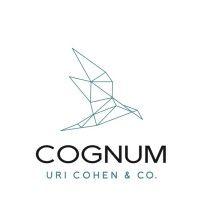 cognum financial consulting logo image