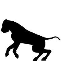 black mastiff studios logo image