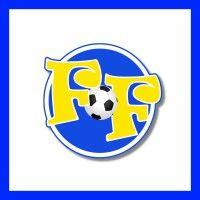 football fun factory® logo image