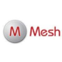 mesh interactive logo image