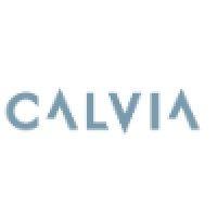 calvia ab logo image