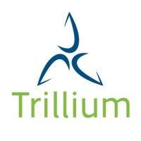 trillium energy solutions logo image