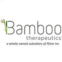 bamboo therapeutics, inc. a wholly owned subsidiary of pfizer inc. logo image