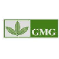 gmg global ltd