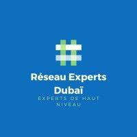 réseau experts dubaï logo image