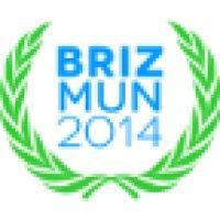 brizmun inc logo image