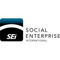 social enterprise international ltd logo image