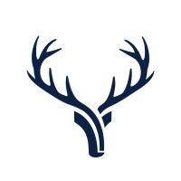 blue deer capital logo image