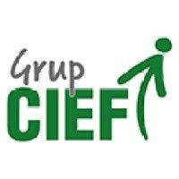 grup cief logo image