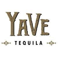 yave tequila logo image