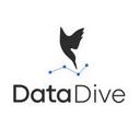 logo of Data Dive Tools