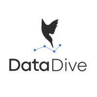 data dive tools logo image