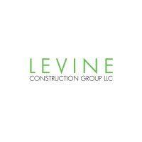 levine construction group, llc