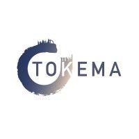 tokema consulting logo image