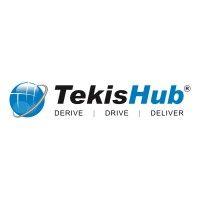 tekishub consulting services logo image