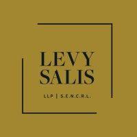 levy salis llp logo image