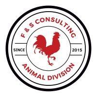 f&s consulting logo image