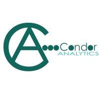 condor analytics inc. logo image