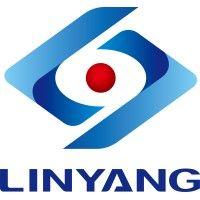 jiangsu linyang energy co., ltd. logo image