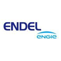 endel - engie group logo image