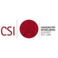 csi - centre for social investment logo image