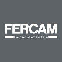 dachser & fercam italia logo image