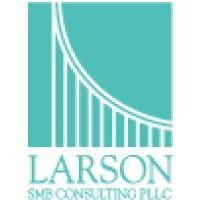 larson smb consulting, pllc