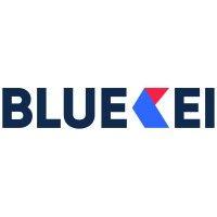 bluekei solutions pvt ltd logo image