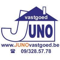 juno vastgoed bv logo image