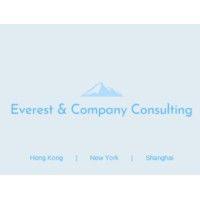 everest & company consulting logo image