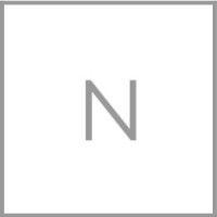 nianova advisors logo image