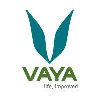 vaya india logo image