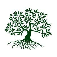 the olive tree initiative logo image