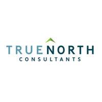 true north consultants, inc. logo image