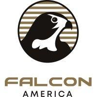 falcon america logo image