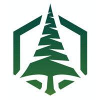 pinetech ventures logo image