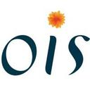 logo of Oslo International School